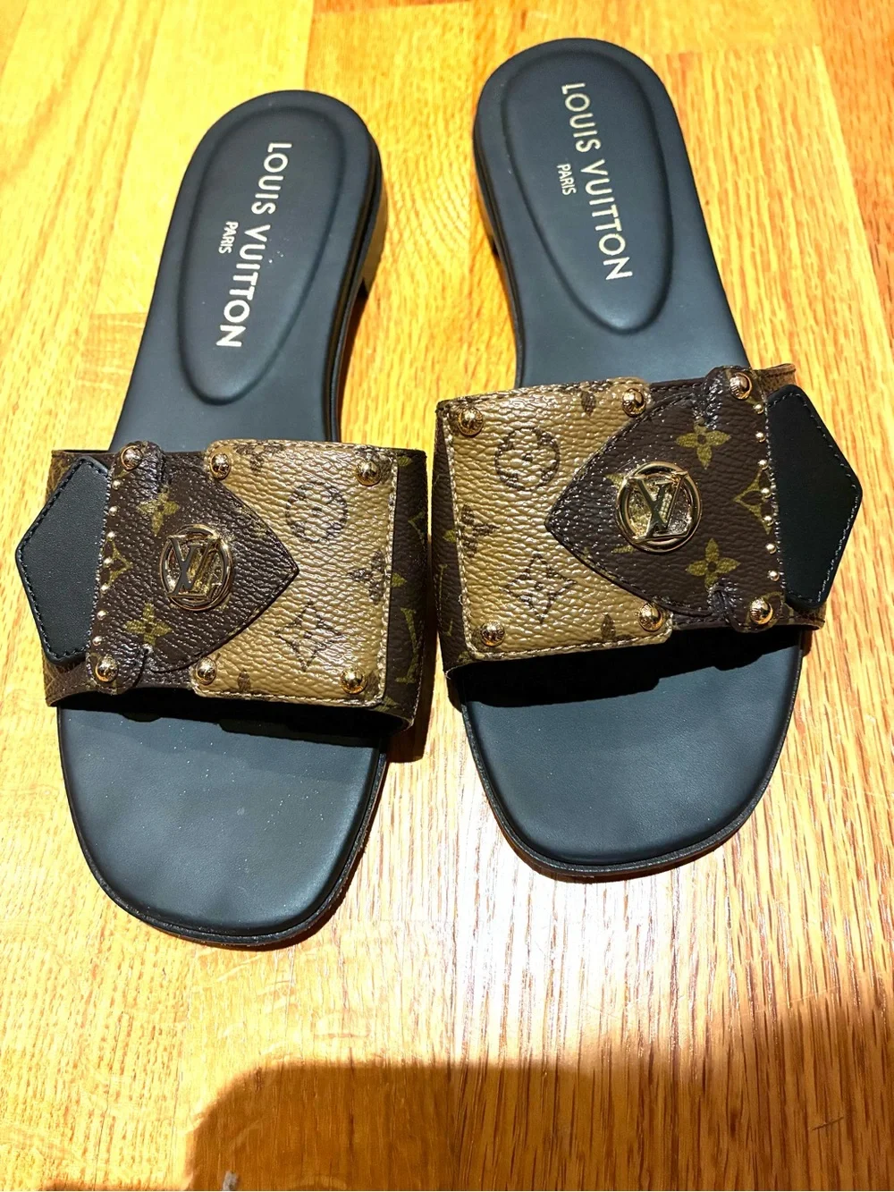 Louis Vuitton luxury louis